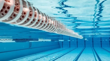An image of a swimming pool